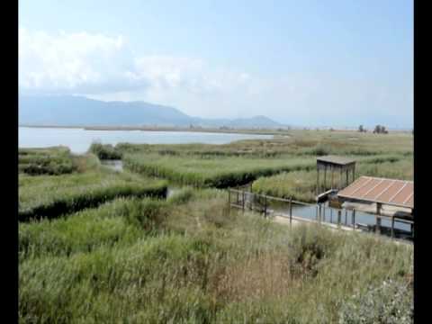 Turisme Terres de l'Ebre - Parc Natural del Delta de l'Ebre