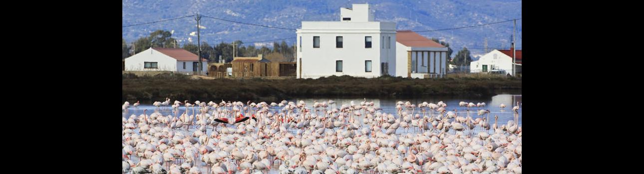 MónNatura Delta de l’Ebre