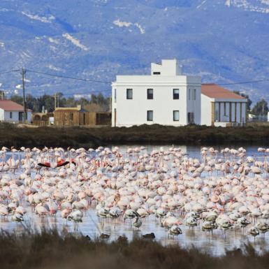 MónNatura Delta de l’Ebre