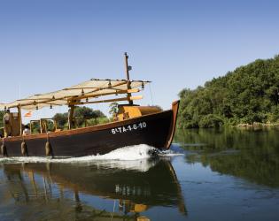 vaixells-motor-barcos