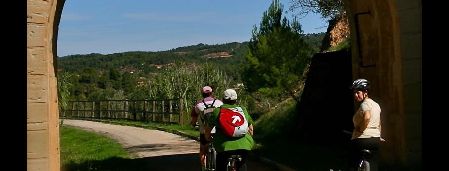 bike-memory