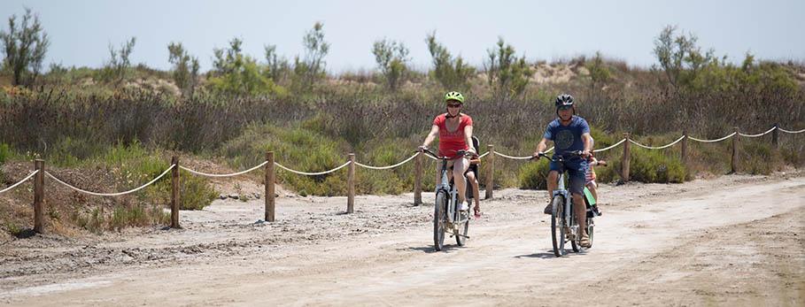 Ruta bicicleta ebike desembocadura Ebre