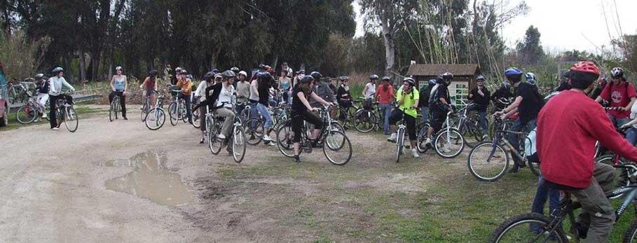 Camí de Sirga Bicicleta