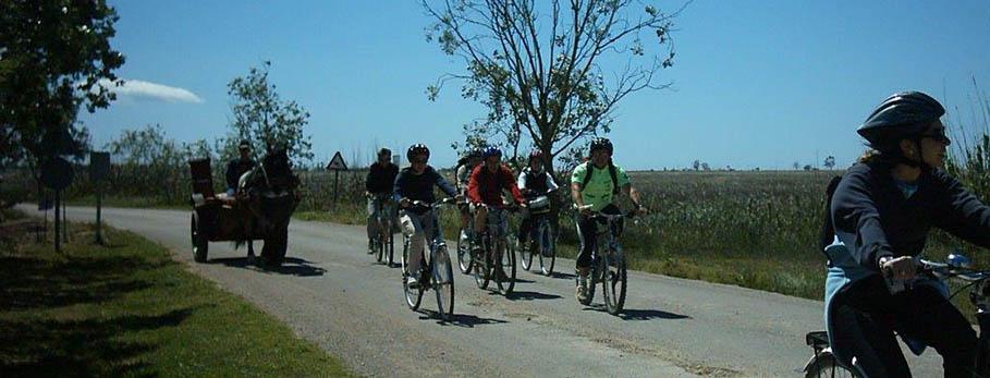 Bicicleta llacunes de l'encanyissada