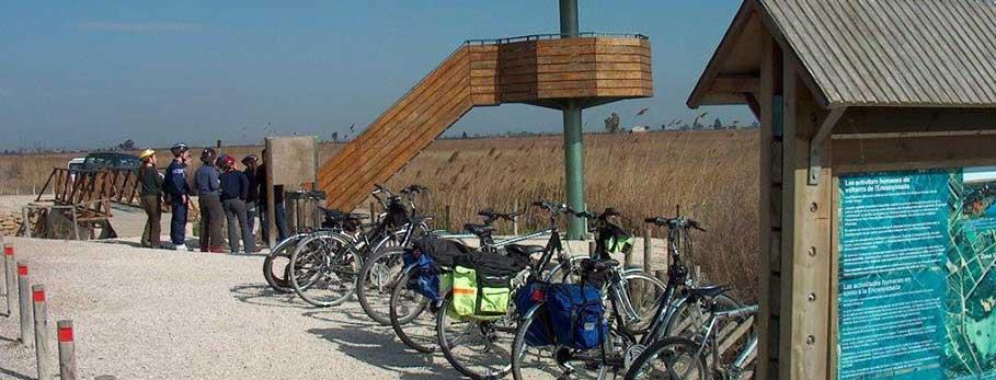 Caiac i Bicicleta Desembocadura Ebre Deltaventur