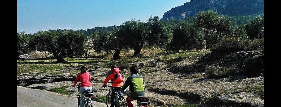 E-bikes and wines