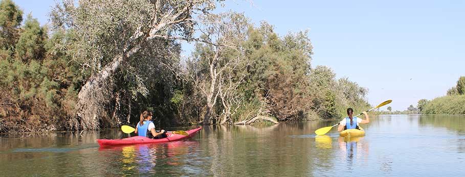 Ruta caiac i bicicleta delta ebre