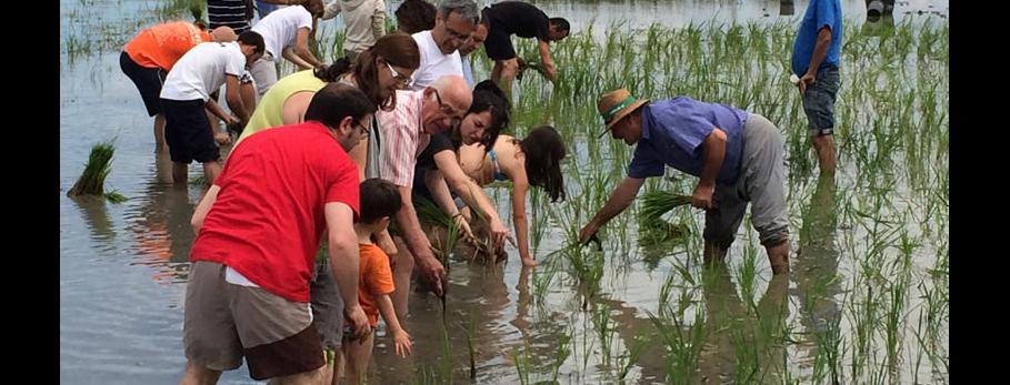safari-ecocultural-delta-ebre