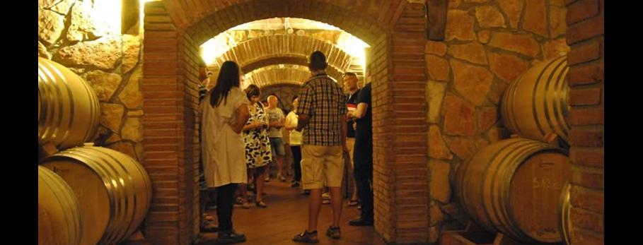 visita-celler-pinol-tast-vins