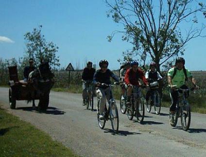 Bicicleta llacunes de l'encanyissada