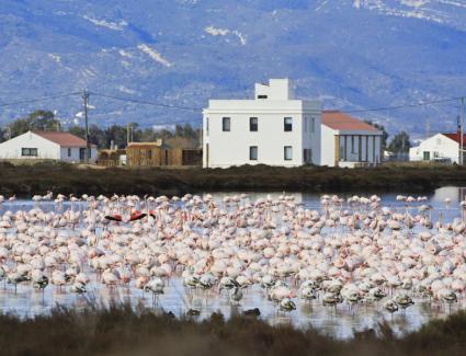 MónNatura Delta de l’Ebre