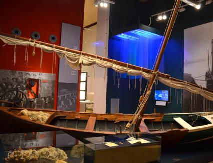 Visita al Museu de les Terres de l’Ebre