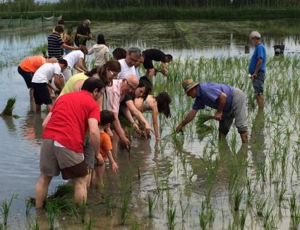 safari-ecocultural-delta-ebre