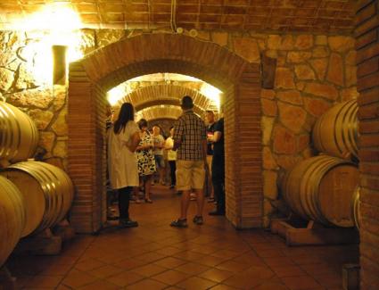 visita-celler-pinol-tast-vins